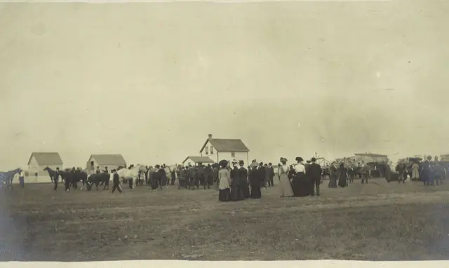 Crowd gathered in a field with horses