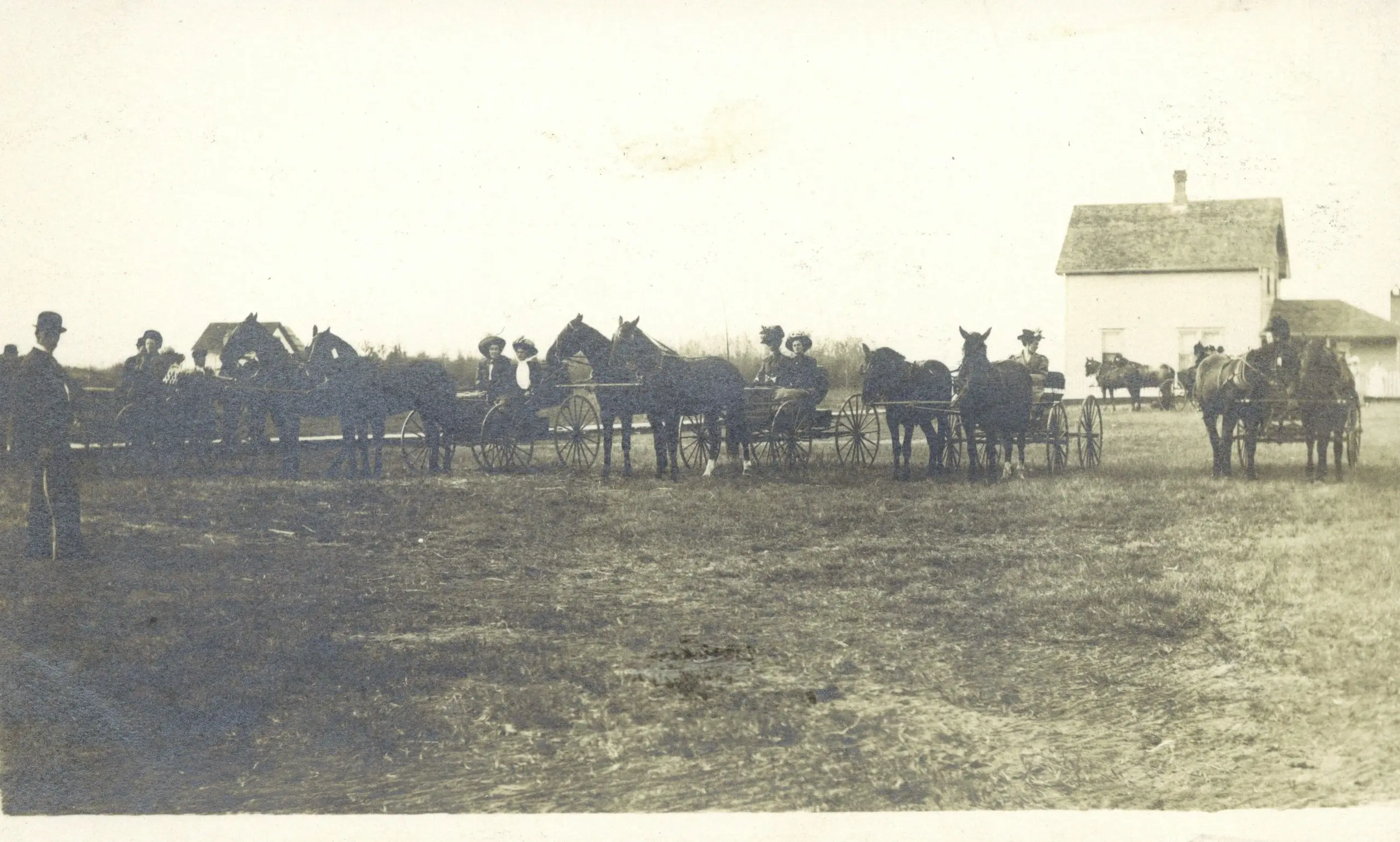 Horse and buggy race lineup